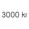 kr 3,000.00