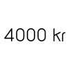 kr 4,000.00